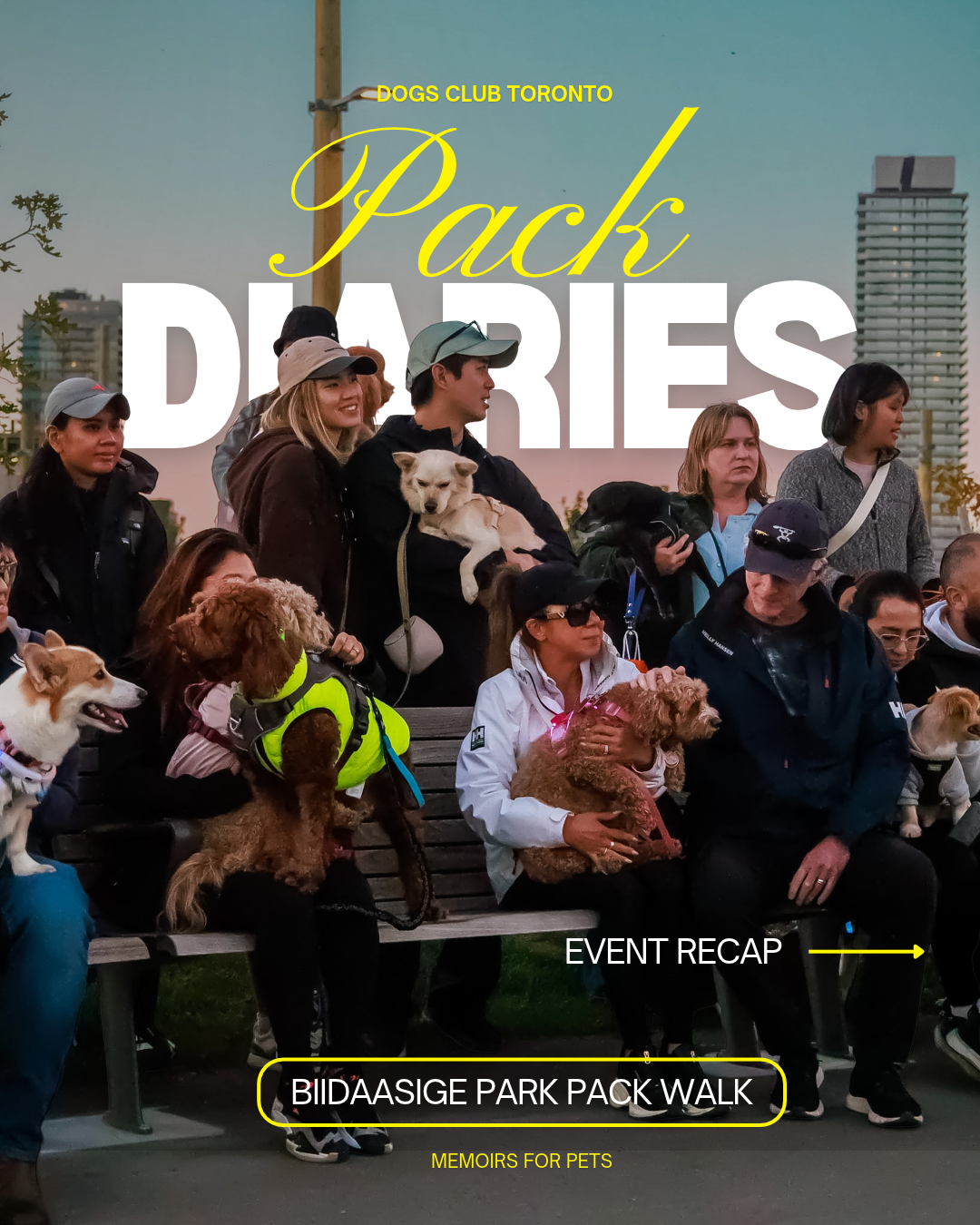 Pack Diaries: An Evening with Dogs Club Toronto at Biidaasige Park