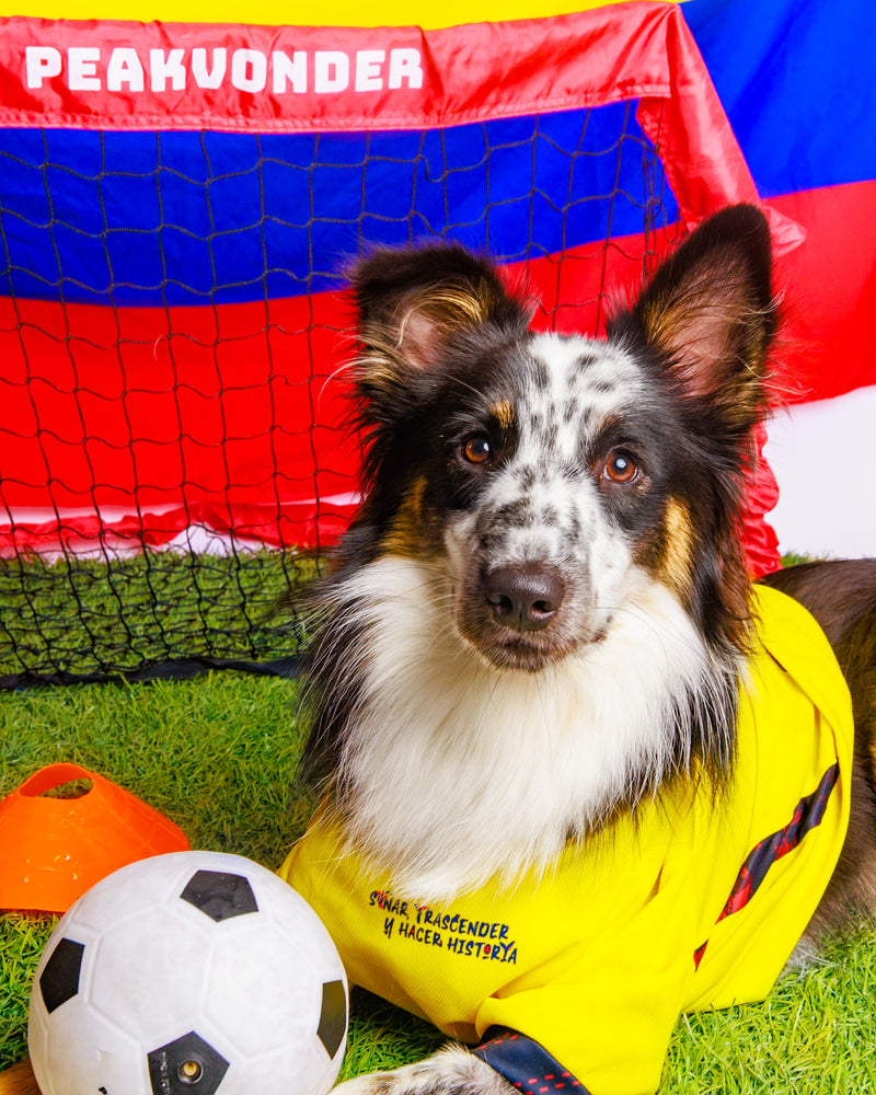World Cup pet portrait by Memoirs for Pets
