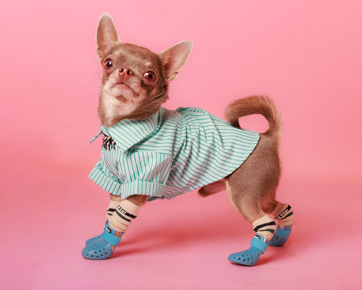 Modern studio portrait on a pink background
