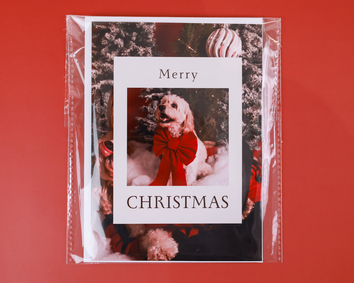 Personalized Christmas Greeting Card