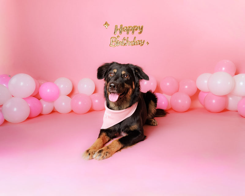Birthday studio portrait with festive styling
