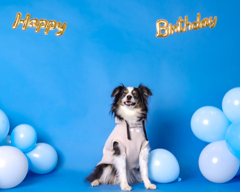 Birthday portrait with balloons and decorations
