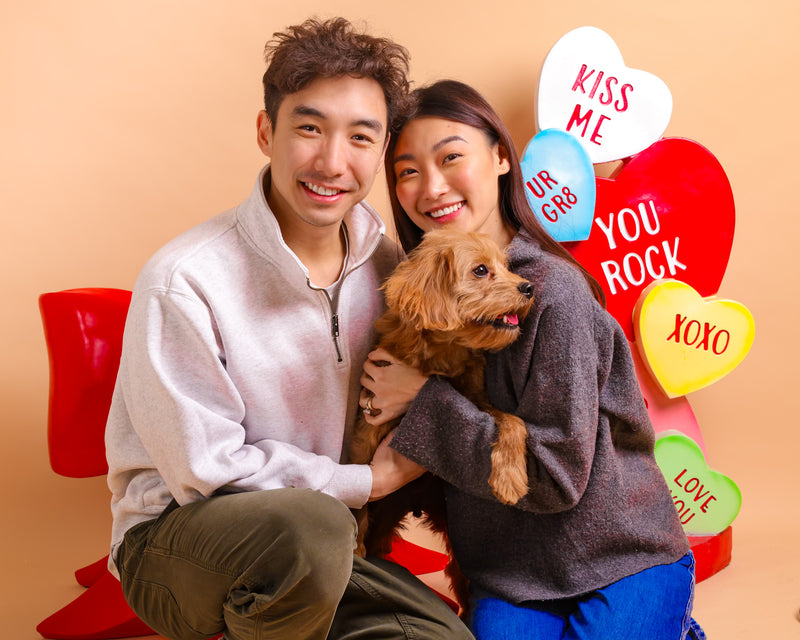 Professional indoor Valentine's pet photography
