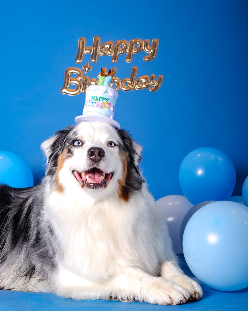 Luxury birthday photography experience
