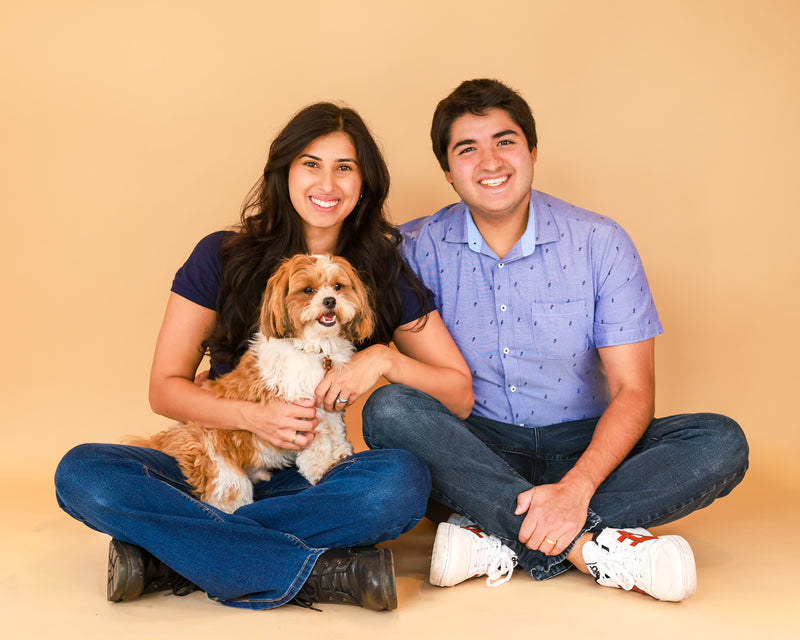 Dog portrait on a timeless beige studio set
