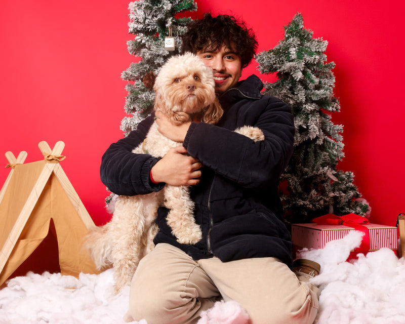 Professional dog photography on a winter backdrop
