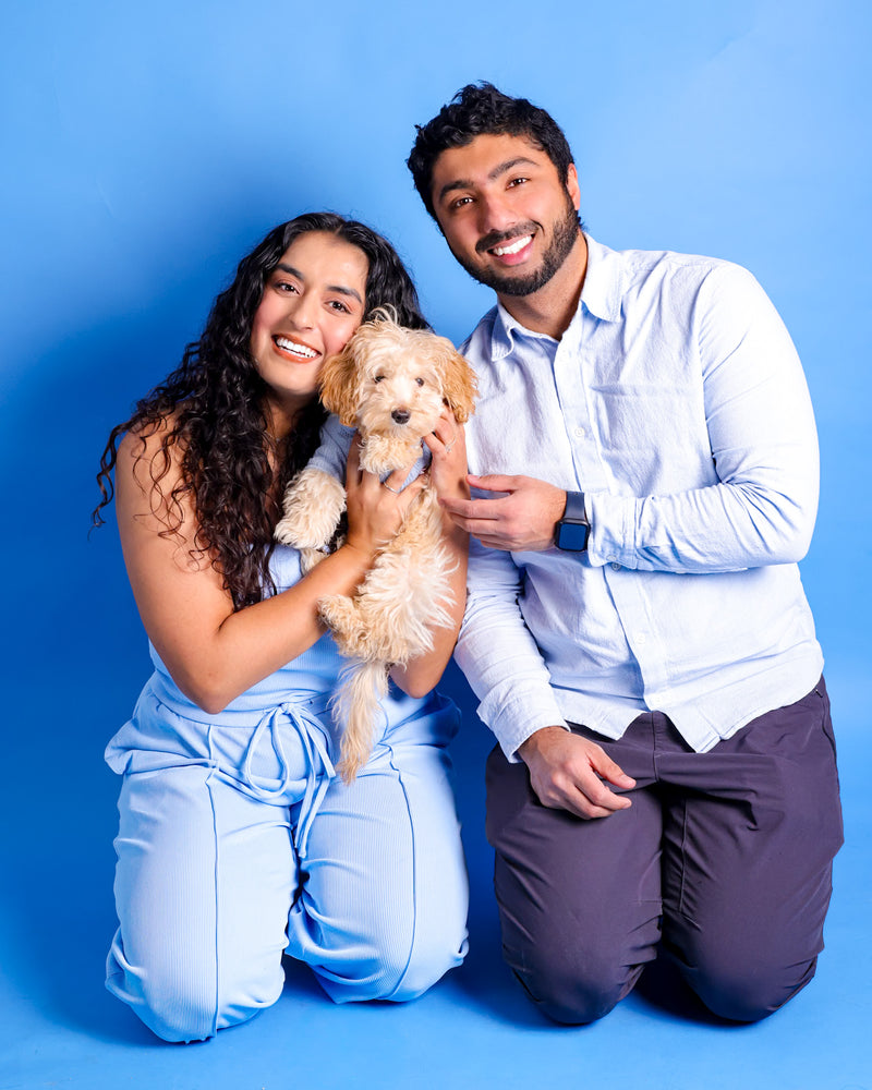 Modern dog photography on a blue background

