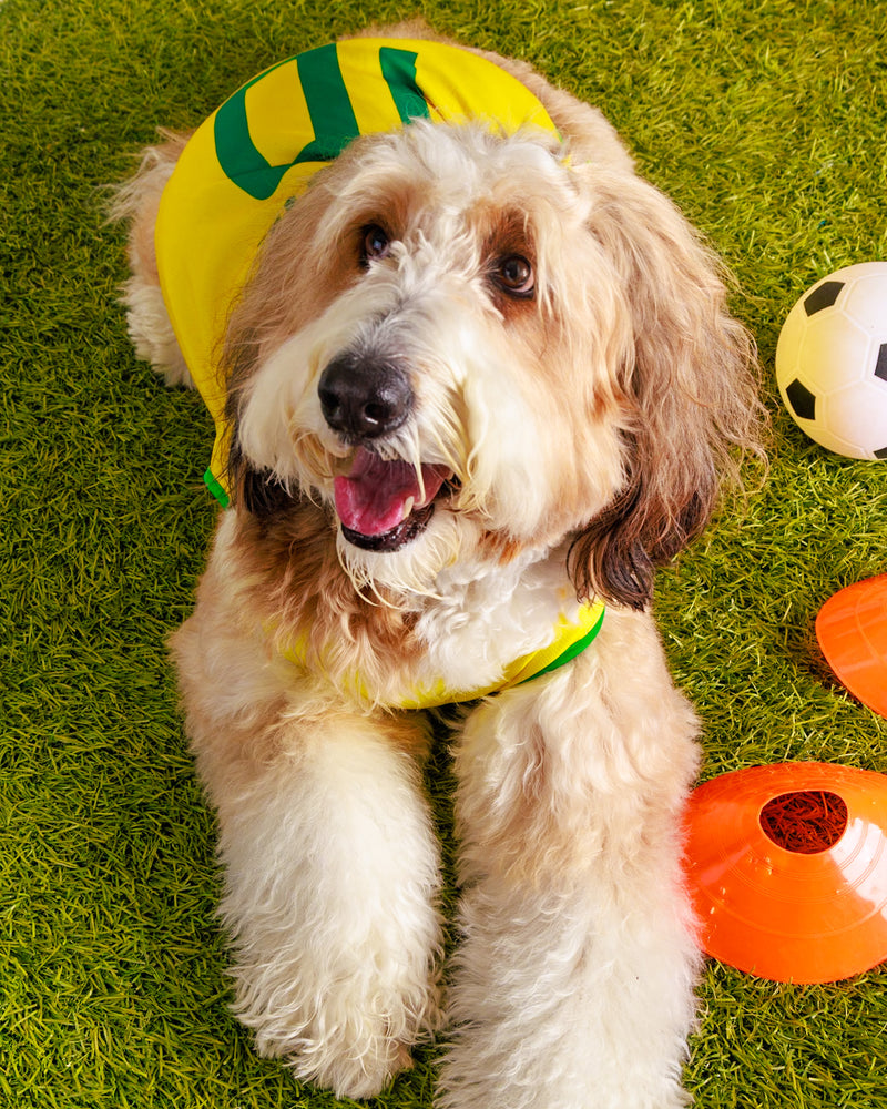 Studio World Cup photography experience
