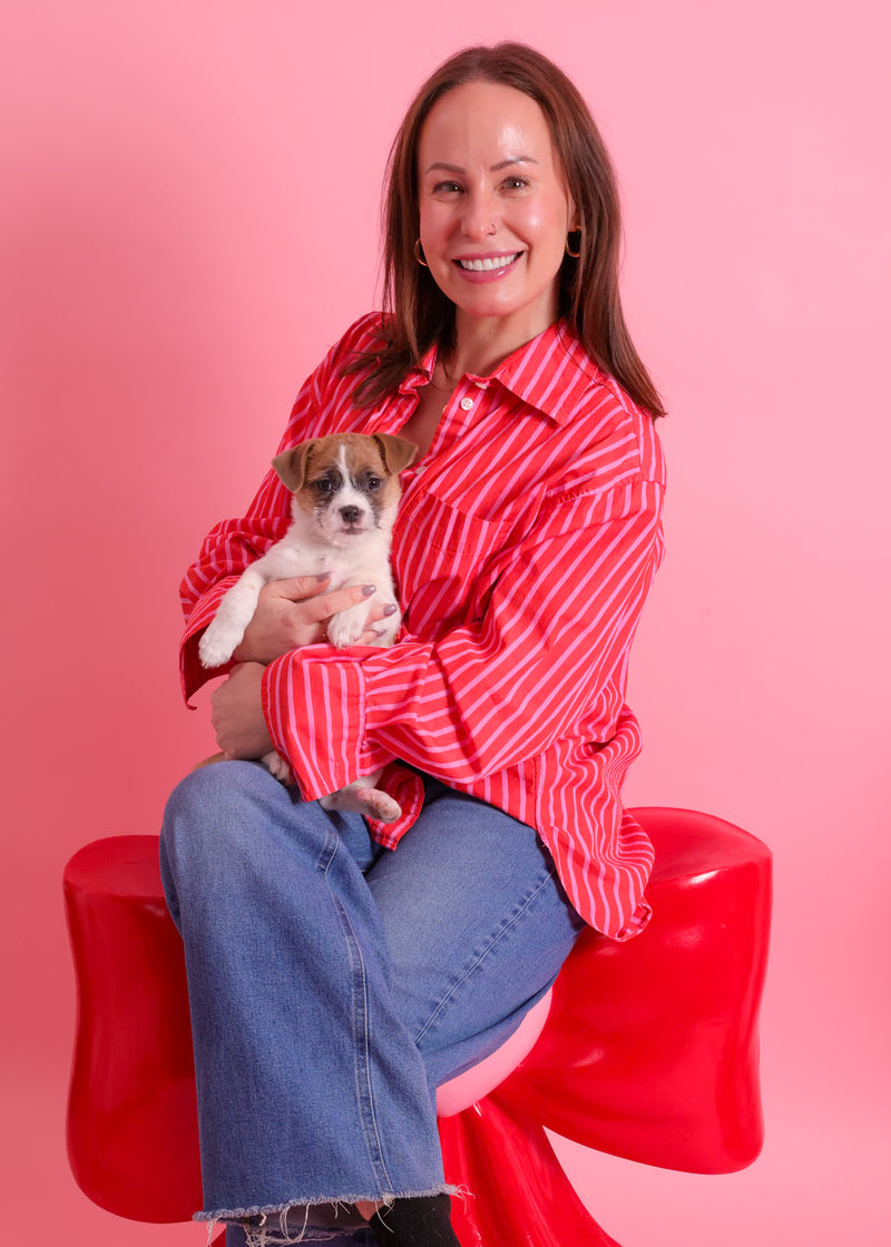 Dog photographed on a romantic studio backdrop
