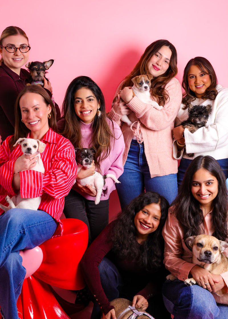 Professional Valentine's pet photoshoot
