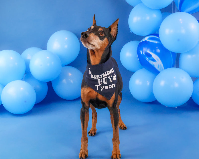 Birthday celebration portrait in Toronto
