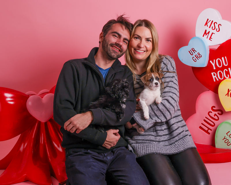 Seasonal Valentine's pet photography
