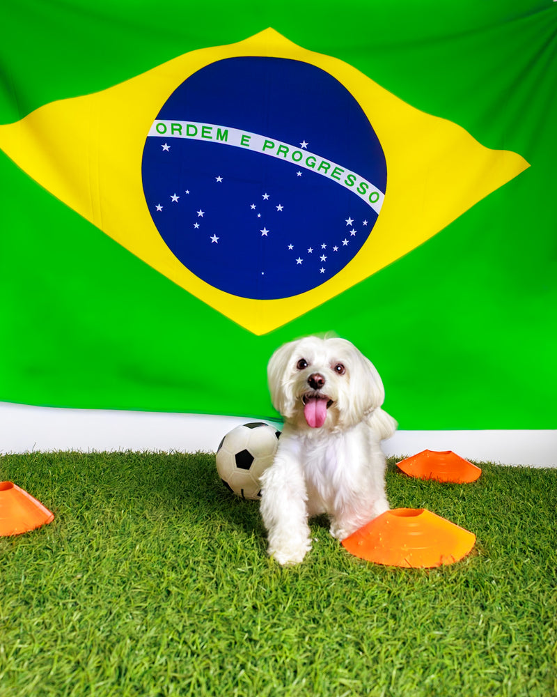 Soccer-themed pet photography in Toronto
