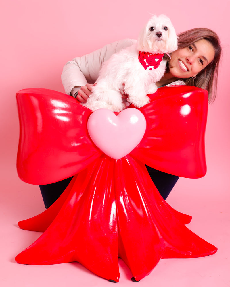 Luxury pet portrait celebrating Valentine's Day
