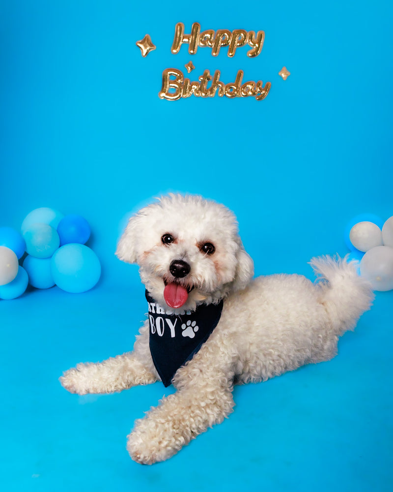 Birthday photoshoot captured in a Toronto studio

