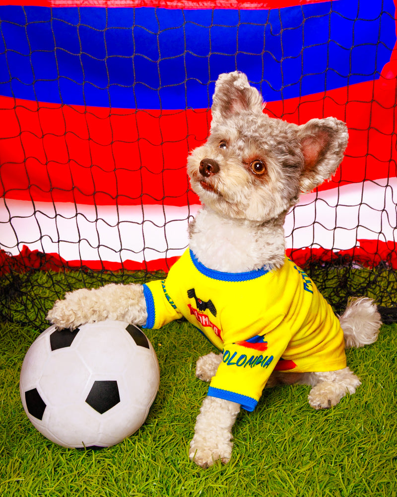 Luxury football backdrop pet photography
