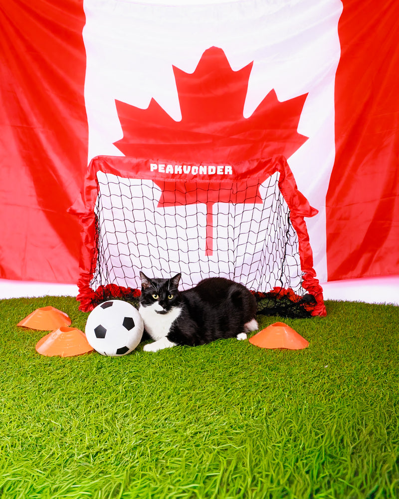 World Cup collection studio portrait
