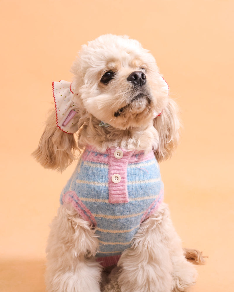 Dog sitting on a beige studio background
