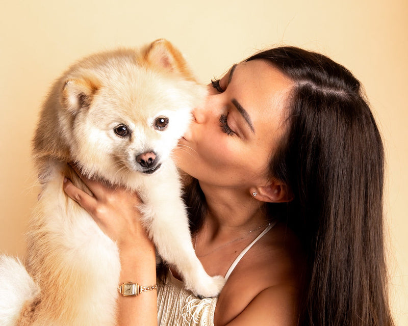 Classic pet portrait on a beige studio background
