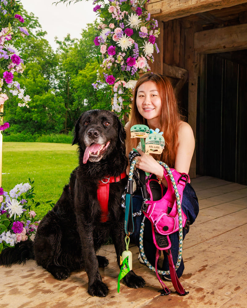 Floral studio portrait by Memoirs for Pets
