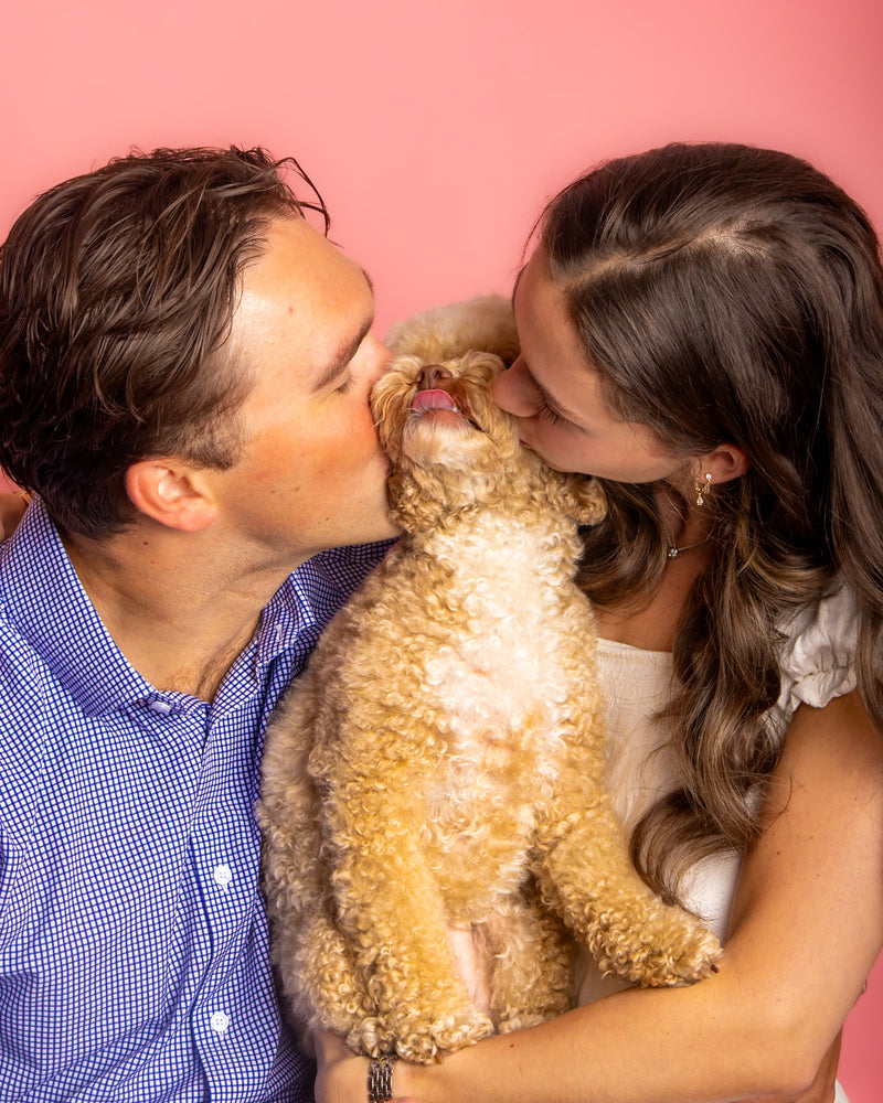 Dog photographed on a soft pink photography background
