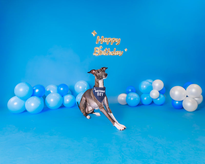 Timeless birthday portrait of a beloved pet
