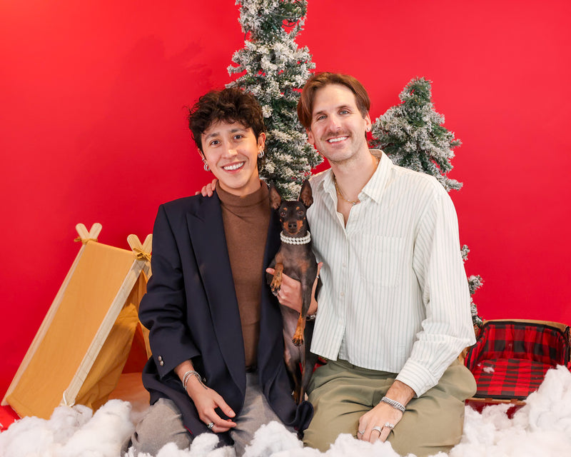 Elegant winter pet photography session
