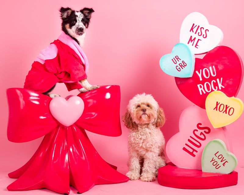 Studio portrait with Valentine's decorations

