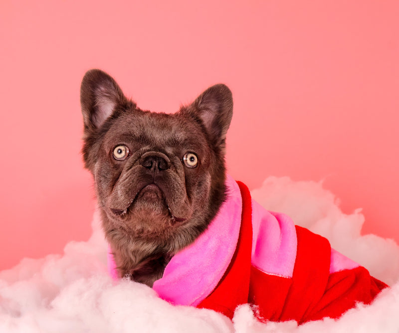 Professional Valentine's themed photography
